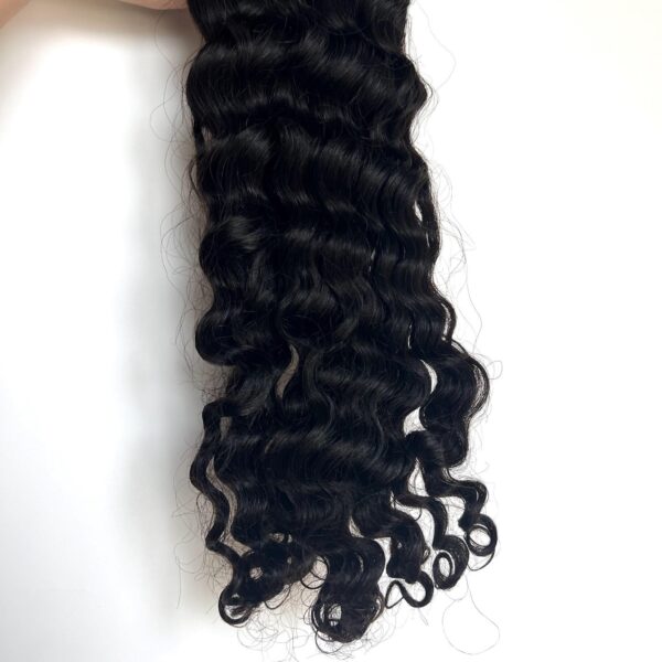 Indian Curly - Image 8