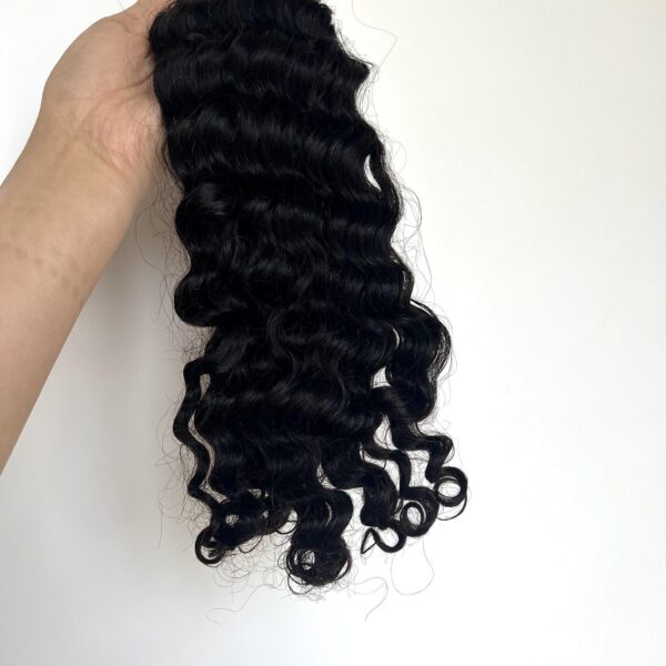 Indian Curly - Image 3